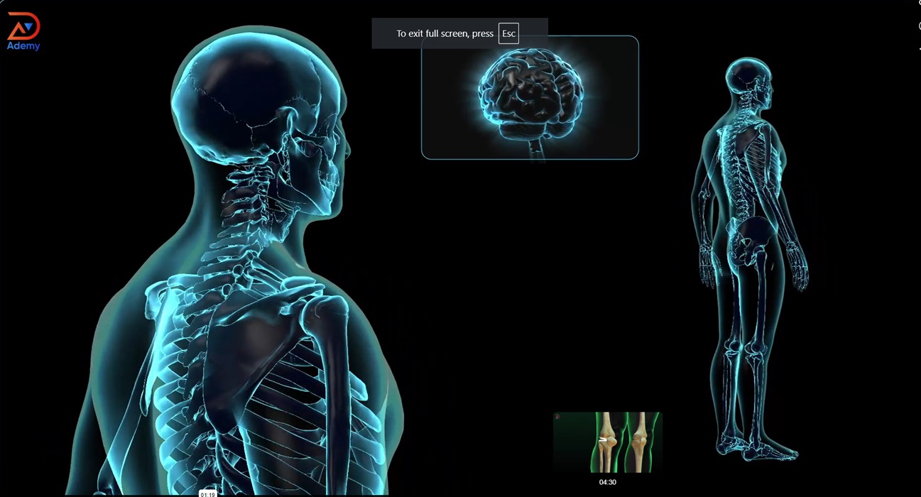 Khoa học Tự nhiên - Lớp 8